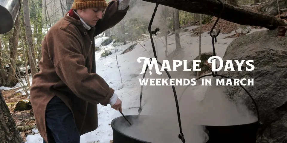 Maple Days