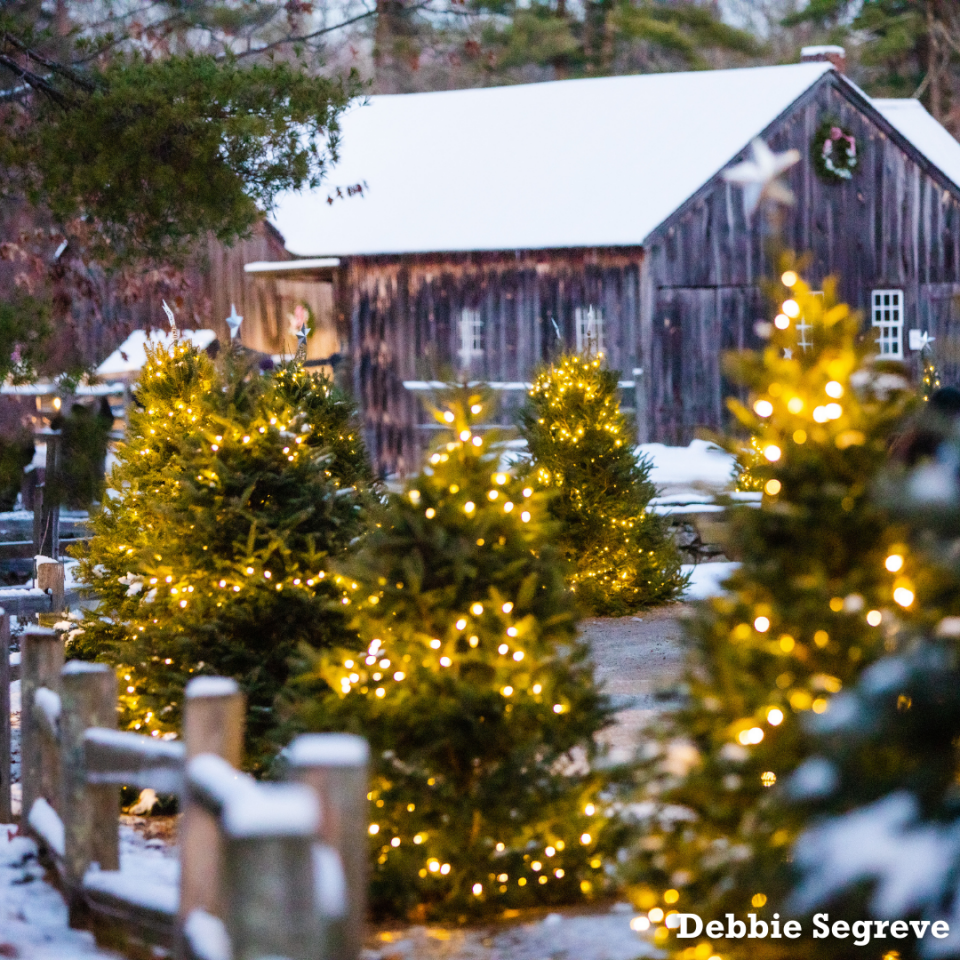 Christmas by Candlelight 2024 Old Sturbridge Village