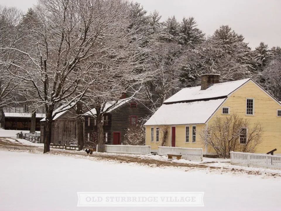 Fitch and Fenno Houses in Winter