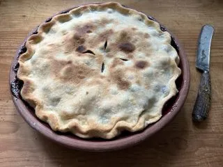 a freshly baked double crusted blueberry pie