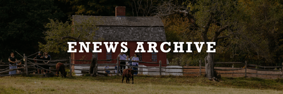 eNews archive