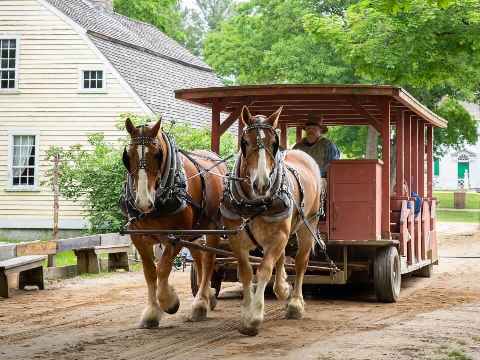 A horse-drawn carryall wagon with a 19th-entury house behind