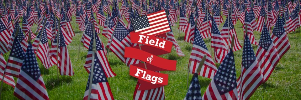 Field of Flags